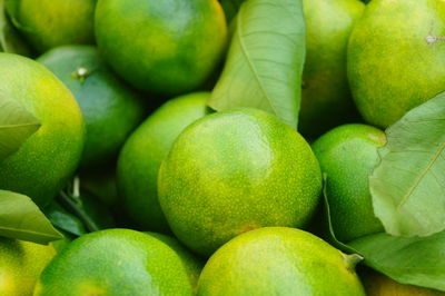 Full frame shot of oranges