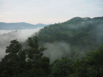 Scenic view of tree mountains against sky
