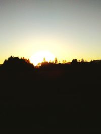 Silhouette of trees at sunset