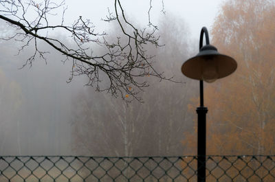 Street light and bare trees against sky during winter