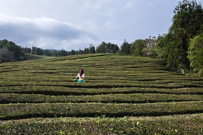 Rear view of young woman standing amidst agricultural field