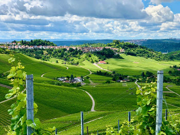 Scenic view of agricultural field against sky