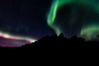 Low angle view of silhouette trees against sky at night