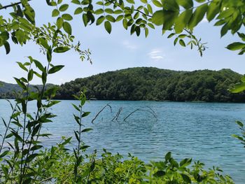 Scenic view of lake against sky