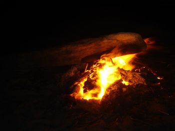 Campfire at night