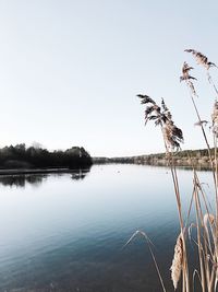 Scenic view of lake against clear sky
