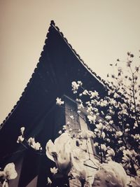 Low angle view of built structure against clear sky