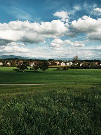 Scenic view of field against sky