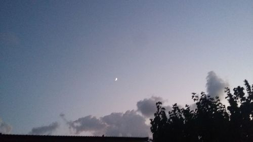 Low angle view of trees against clear sky