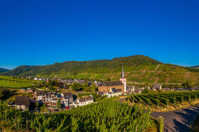 Panoramic view of the moselle vineyards near bruttig-fankel, germany. 