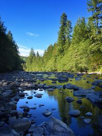 Scenic view of river against clear sky