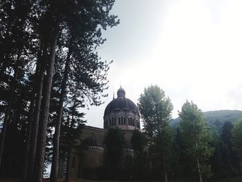 Low angle view of trees and building against sky