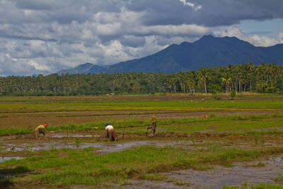 Scenic view of grassy field against cloudy sky