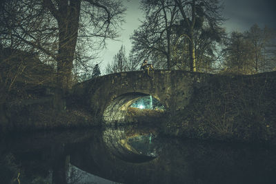 Reflection of trees in water