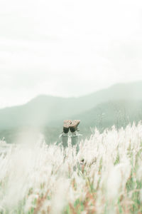 View of horse on field against sky