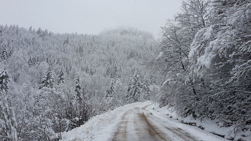 Empty road in snow covered forest against sky