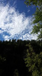 Scenic view of forest against cloudy sky