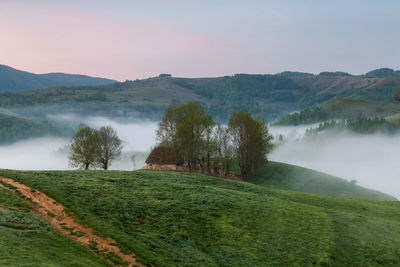 Scenic view of landscape against sky during foggy weather