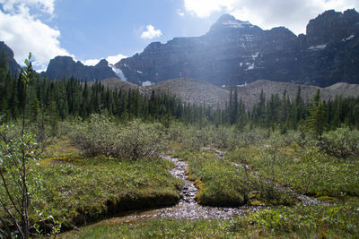 Stream with mountain in background