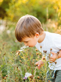 Cute little boy is sniffing flowers on field. outdoor leisure activity for toddler. autumn season.