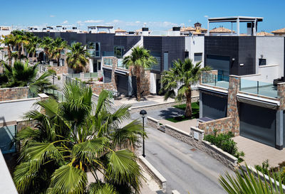 High angle view of palm trees by swimming pool in city