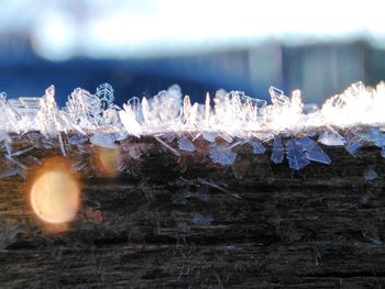 Close-up of frozen water against sky