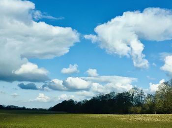 Scenic view of field against sky