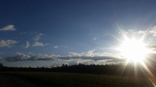 Sun shining through trees on grassy field