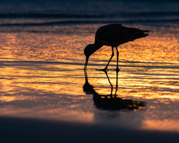 Dinner at sunset