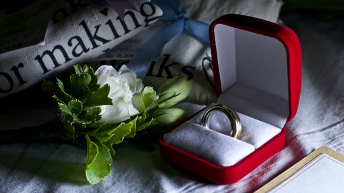 High angle view of roses on table