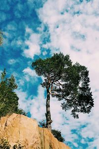 Low angle view of trees against cloudy sky