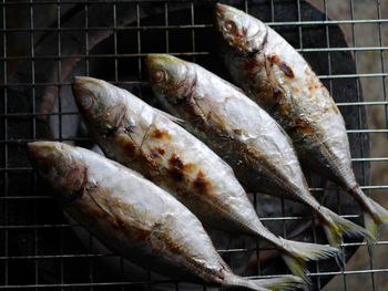 High angle view of dead fish on barbecue