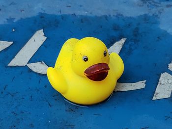 High angle view of yellow toy on blue water