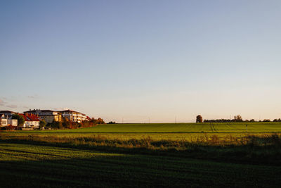 Scenic view of agricultural field against clear sky
