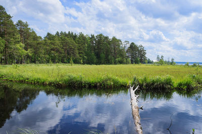 Scenic view of field by lake against sky