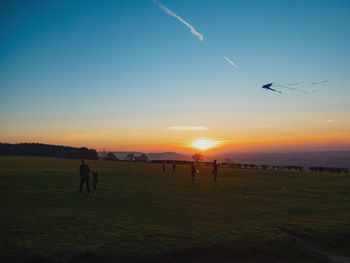 Silhouette birds flying over field during sunset