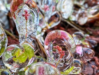 Close-up of vegetables in glass for sale