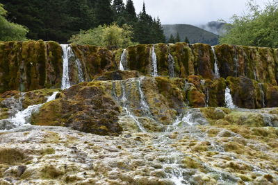 Scenic view of waterfall against trees