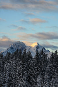 Scenic view of snow covered mountains against sky