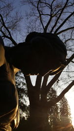 Low angle view of silhouette bare trees against sky