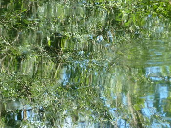 Full frame shot of water with reflection