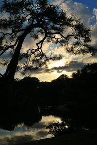 Silhouette trees by mountain against sky during sunset