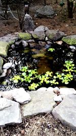 Stream flowing through rocks