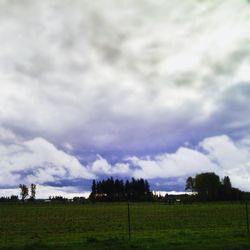 Scenic view of grassy field against cloudy sky
