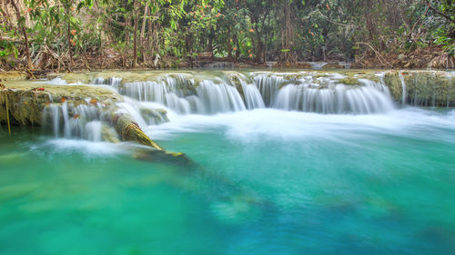 Scenic view of waterfall in forest