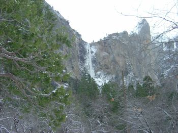 Low angle view of waterfall in forest against sky