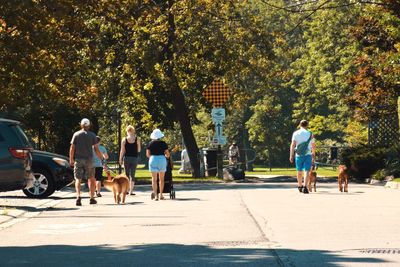 Rear view of people walking on street in city