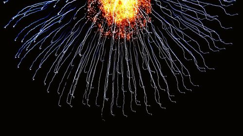 Low angle view of firework display