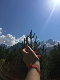 Low section of person hand on snowcapped mountain against sky