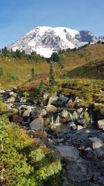 Autumn in mount rainier national park, washington state